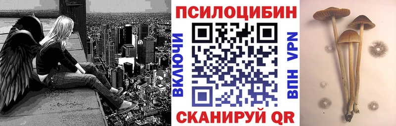Псилоцибиновые грибы Magic Shrooms  Оренбург 