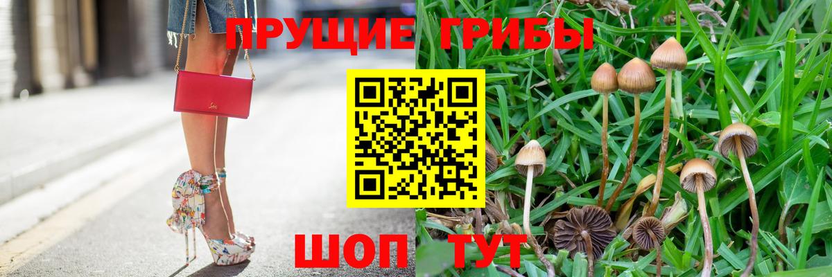 Галлюциногенные грибы GOLDEN TEACHER Оренбург