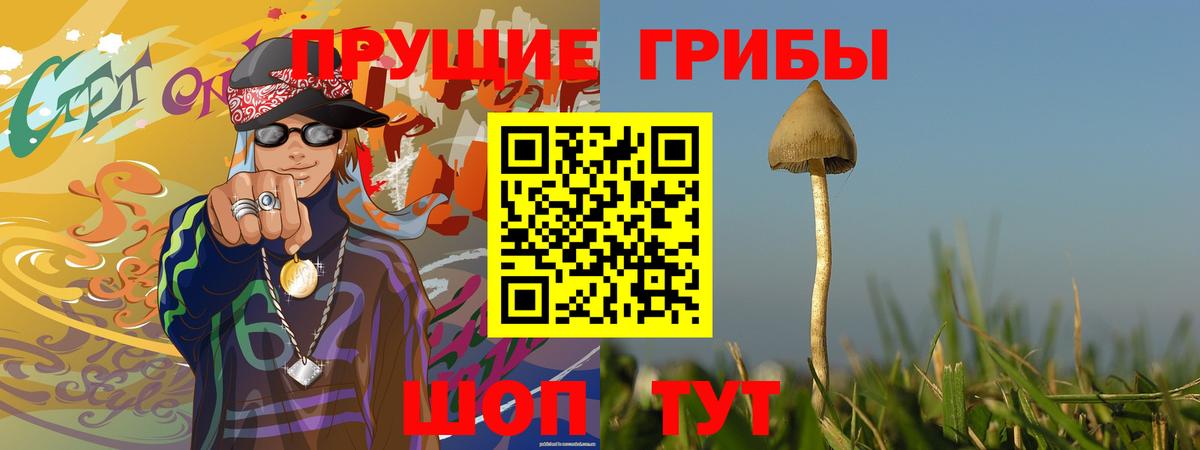 Оренбург  Псилоцибиновые грибы GOLDEN TEACHER  Вход с VPN 
