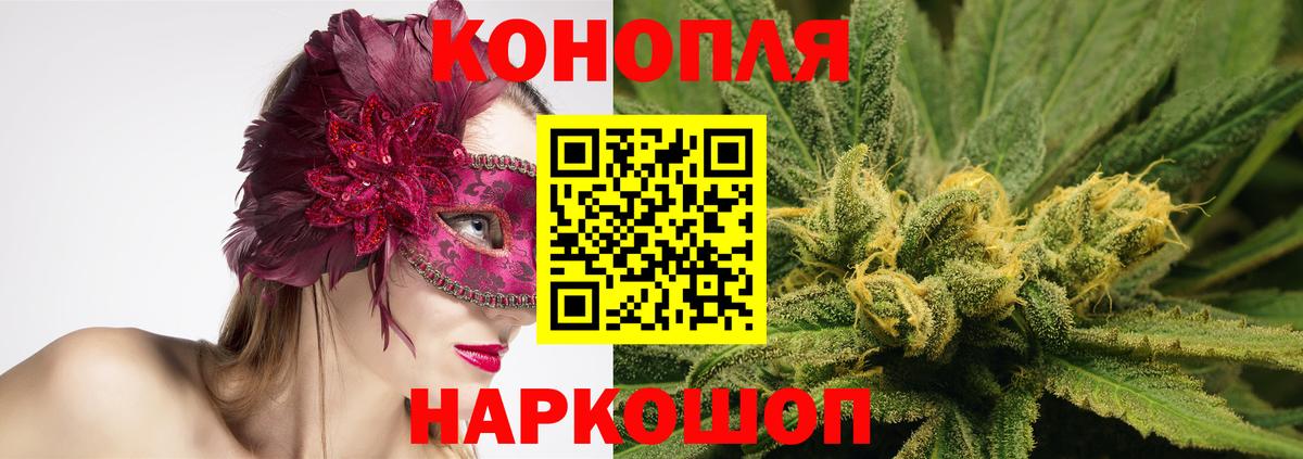 Бошки Шишки план Оренбург